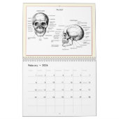 DM entbeint Kalender (Feb 2026)