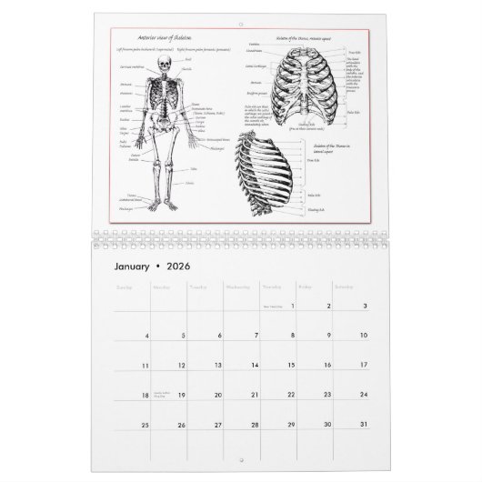 DM entbeint Kalender (Jan 2026)