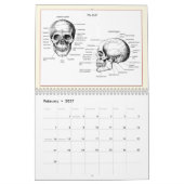 DM entbeint Kalender (Feb 2027)