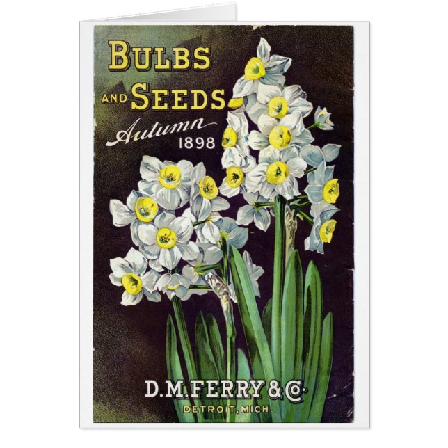 DM Ferry Seeds and Bulbs 1898 (Vorne)