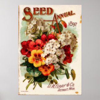 DM Ferry Vintage Blumenkatalogwerbung Poster