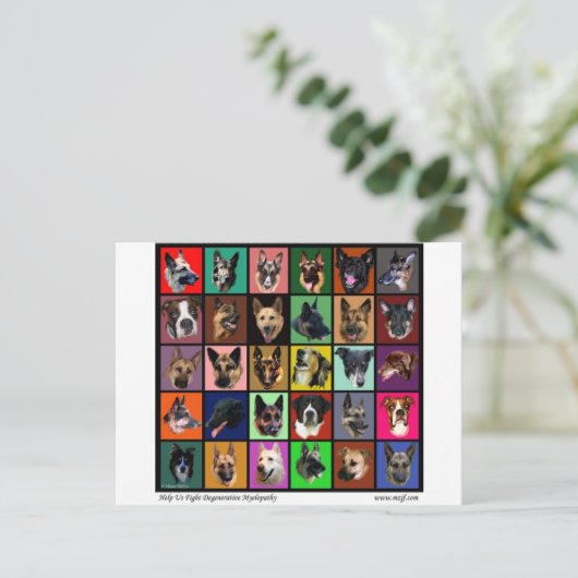 Dm-Regenbogen-Soule Postkarte (Stehend Vorderseite)