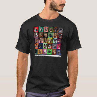 Dm-Regenbogen-Soule T-Shirt