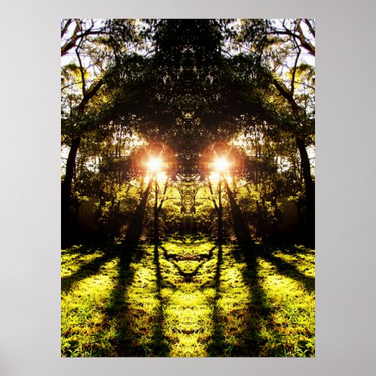 DMT 'AURUS Forest Poster (Vorne)