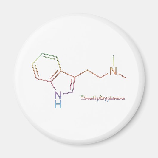 DMT Rainbow Magnet (Vorne)