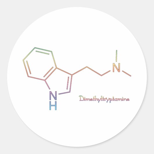 DMT Rainbow Runder Aufkleber (Vorderseite)