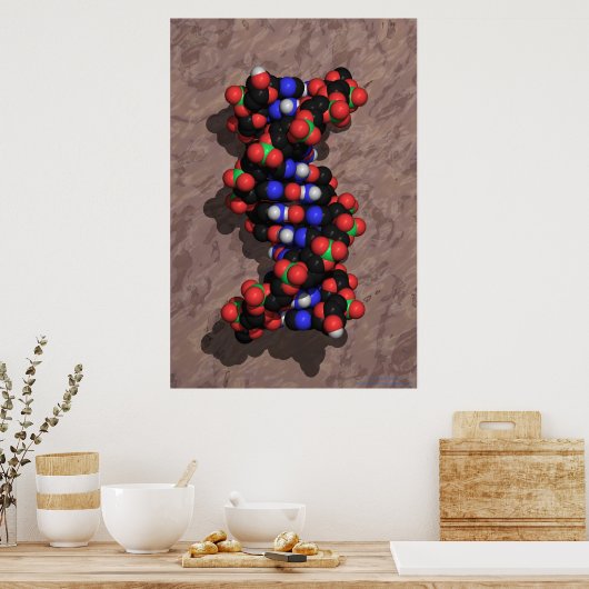 DNA auf Stone Poster (Küche)