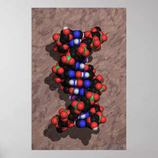 DNA auf Stone Poster