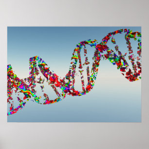 DNA-Ausrichtung Poster