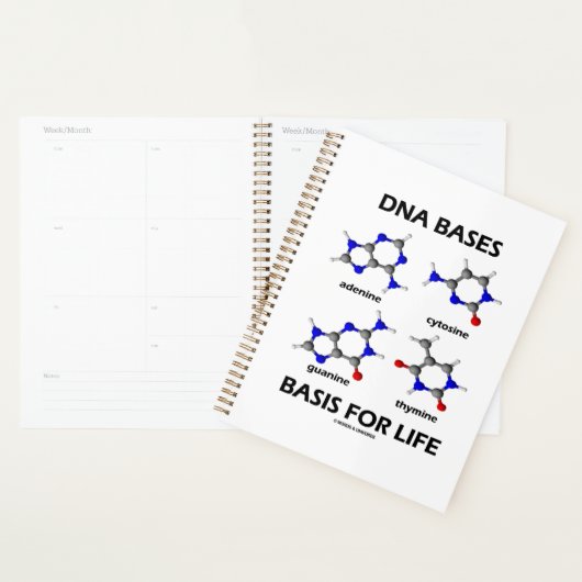 DNA-Basen für lebensmolekulare Struktur Planer (Anzeige)