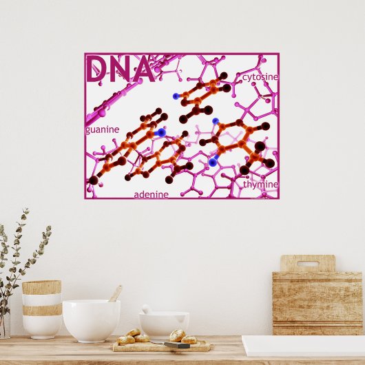 DNA-Basen klein Poster (Küche)