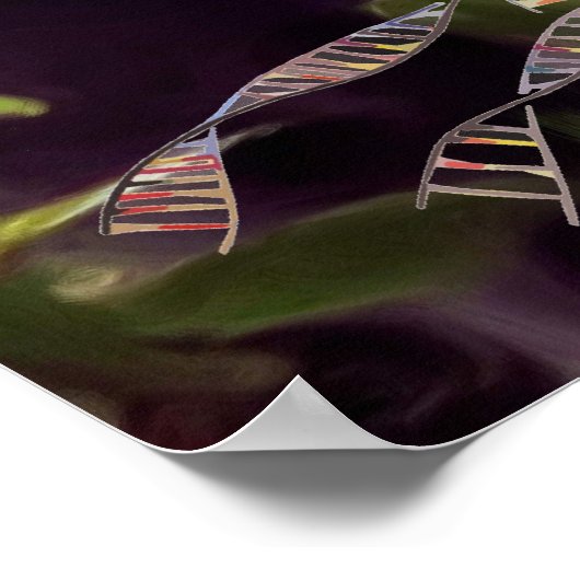 DNA-BAUM oder Baum des Lebens POSTER MONKEY HINTER (Ecke)