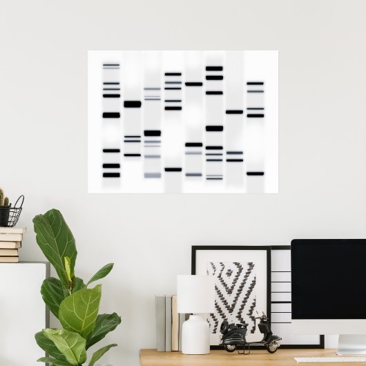DNA-Code Schwarz auf Weiß Poster (Heimbüro)
