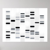 DNA-Code Schwarz auf Weiß Poster (Vorne)