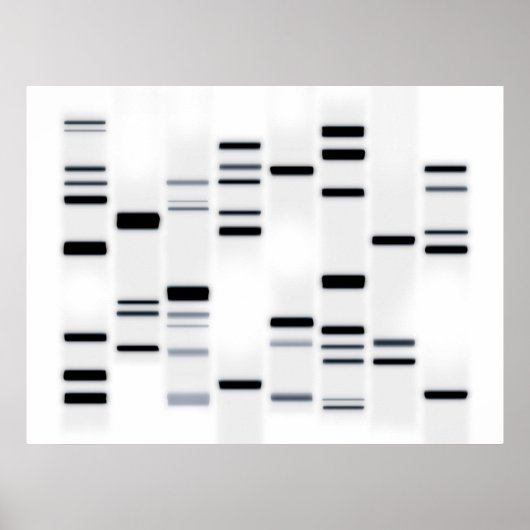 DNA-Code Schwarz auf Weiß Poster (Vorne)