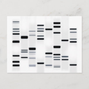 DNA-Code Schwarz auf Weiß Postkarte