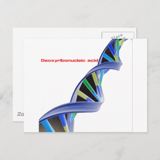 DNA - Deoxyribonukleinsäure Postkarte (Vorne/Hinten)