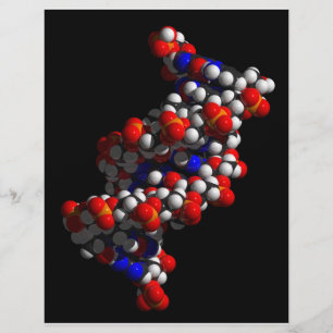 DNA-Doppelhelix-Modell Flyer