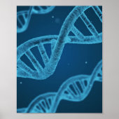 DNA Double Helix Poster (Vorne)