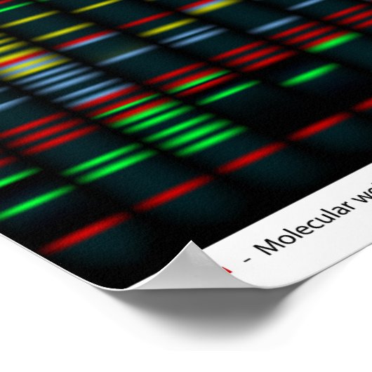 DNA-Fingerabdruckplakat Poster (Ecke)