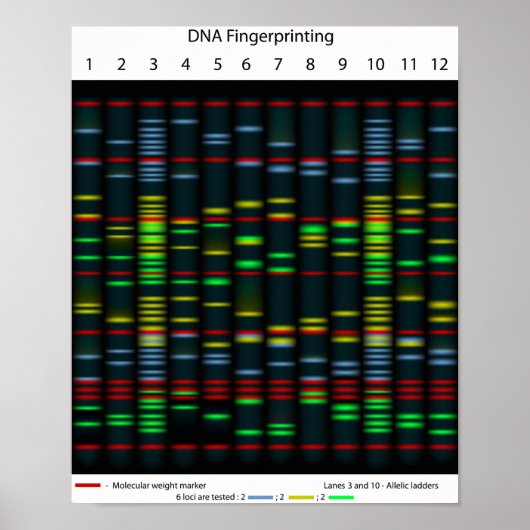 DNA-Fingerabdruckplakat Poster (Vorne)