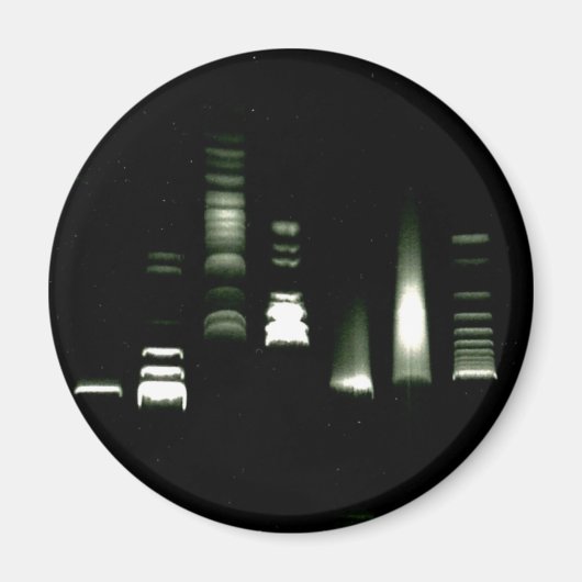 DNA-Gel-Elektrophorese-Magnet Magnet (Vorne)