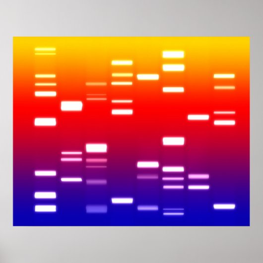 DNA Genetic Code Rainbow Poster (Vorne)