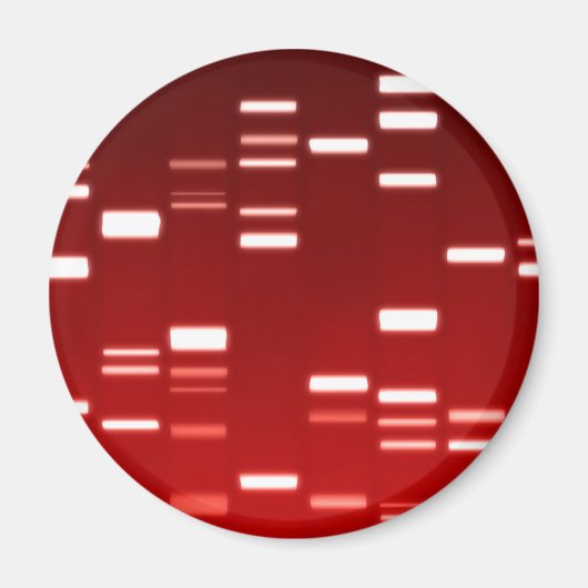 DNA Genetic Code Red Magnet (Vorne)