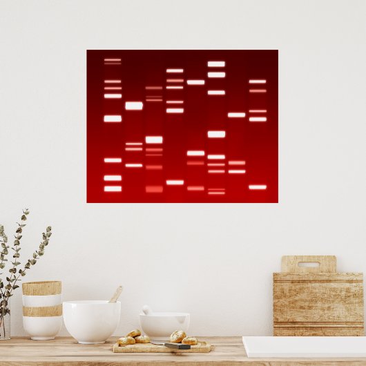 DNA Genetic Code Red Poster (Küche)