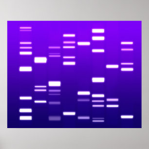 DNA-Genetik-Code Lila Poster