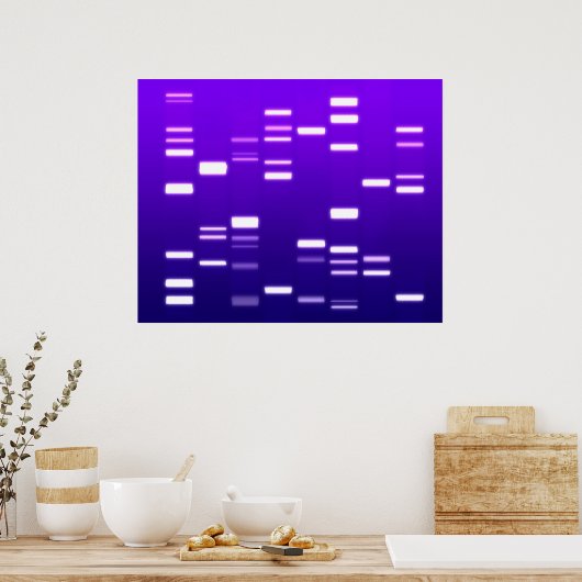 DNA-Genetik-Code Lila Poster (Küche)