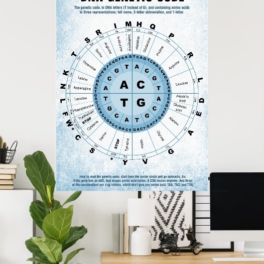 DNA Genetische Codetabelle Poster (Heimbüro)