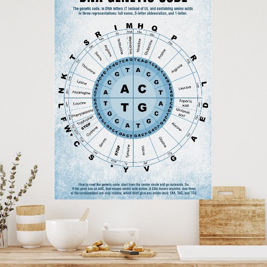 DNA Genetische Codetabelle Poster (Küche)