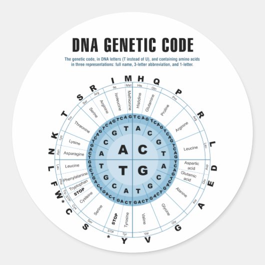 DNA Genetische Codetabelle Runder Aufkleber (Vorderseite)