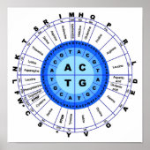 DNA Genetischer Code Circle Gene Codon Amino Acid Poster (Vorne)