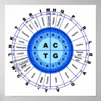 DNA Genetischer Code Circle Gene Codon Amino Acid