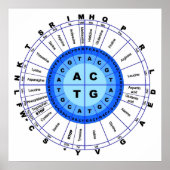 DNA Genetischer Code Circle Gene Codon Amino Acid Poster (Vorne)