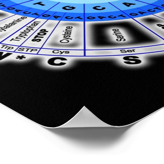 DNA Genetischer Code Circle Gene Codon Amino Säure Poster (Ecke)