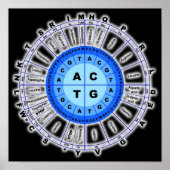 DNA Genetischer Code Circle Gene Codon Amino Säure Poster (Vorne)