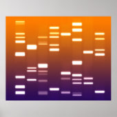 DNA Genetischer Code Orange Blue Poster (Vorne)