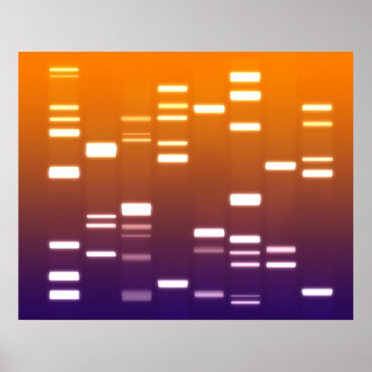 DNA Genetischer Code Orange Blue Poster (Vorne)