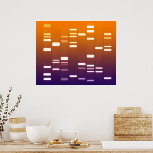 DNA Genetischer Code Orange Blue Poster (Küche)