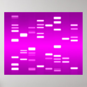 DNA Genetischer Code Rosa Magenta Poster