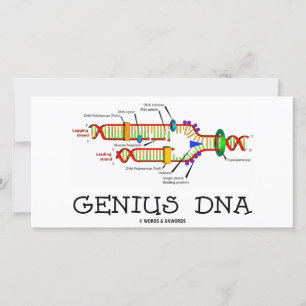 DNA-Genie (DNA-Replikation Spaß)