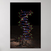 DNA im Spotlight Poster (Vorne)