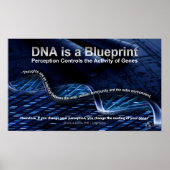 DNA ist ein Blueprint-Poster Poster (Vorne)
