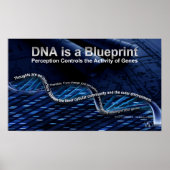 DNA ist ein Blueprint-Poster Poster (Vorne)
