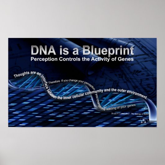 DNA ist ein Blueprint-Poster Poster (Vorne)