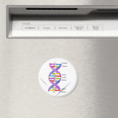 DNA Magnet (In Situ (Geschirrspüler))