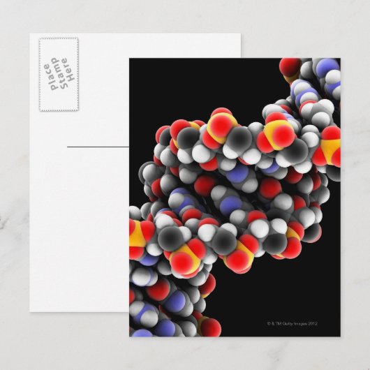 DNA-Molekül. Molekulares DNA-Modell Postkarte (Vorne/Hinten)